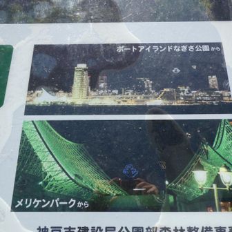 夜見るとこんな感じ