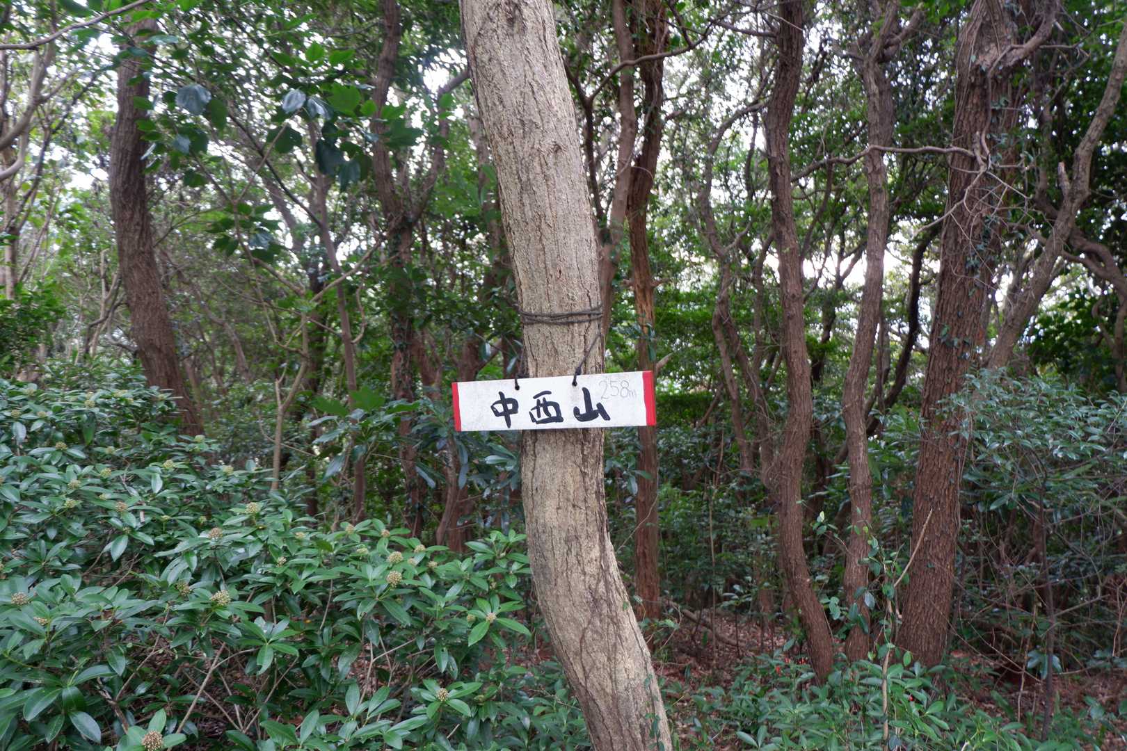 中西山。