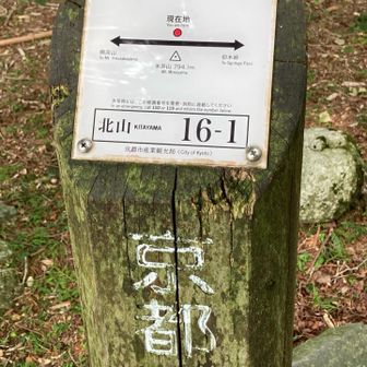 まだ9時だし、樹林帯なので暑くない👍