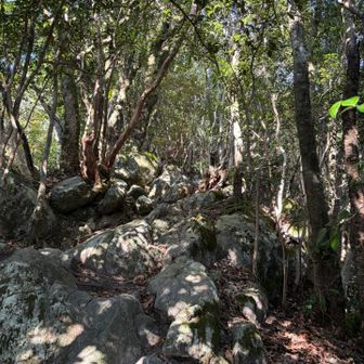 ロープ岩場多い
まぁ好物なんで良き😊