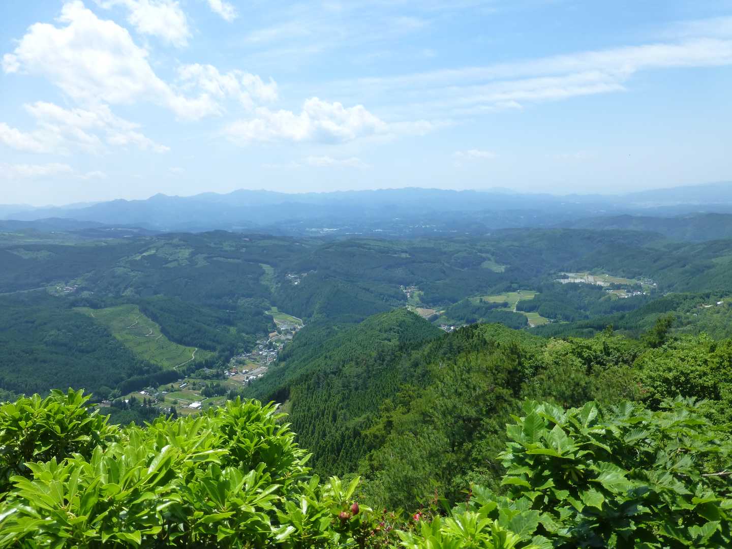 万年山周回 | 気持ちの良い草原とミヤマキリシマの絶景を手軽に楽しむの写真