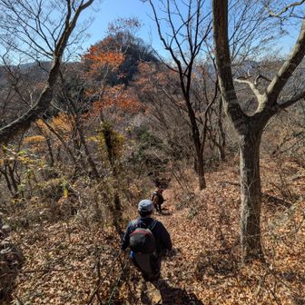 月居山向います!