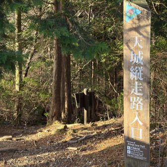 伊東温泉♨️に前泊して、翌朝登山口に到着。
駐車場にトイレはあったけど、冬季は使用不可。
トイレの建物の裏に冬季用の簡易トイレが一つだけあった。