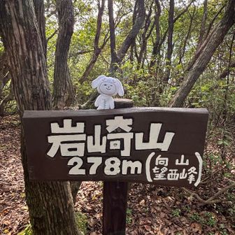 岩崎山、登頂〜✨
ゼーゼー💦