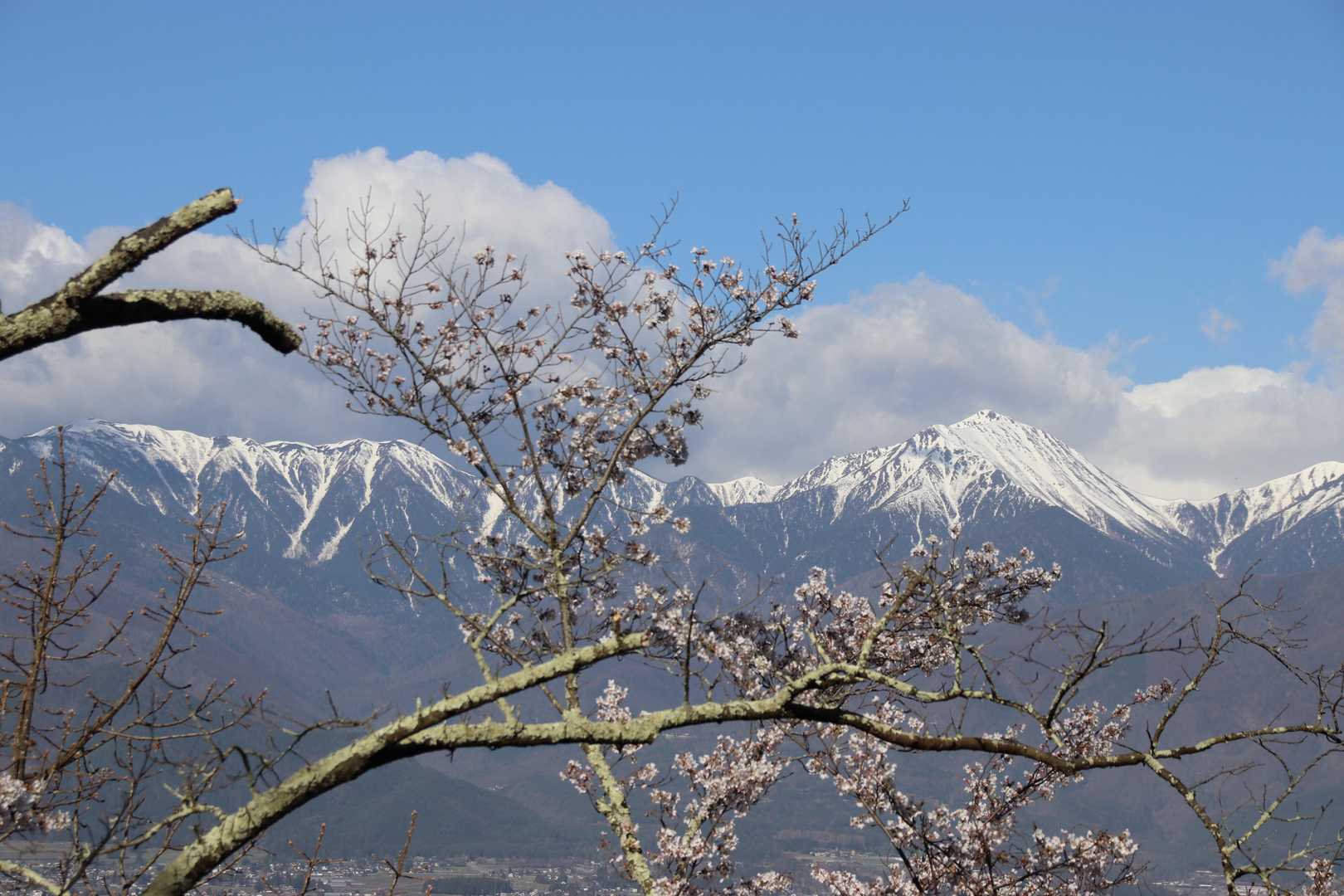 常念岳と桜と青空と。
※今回のカバー画像