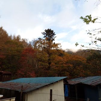 色づきもまずまず🍁