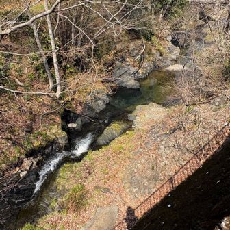 水がとてもきれい✨