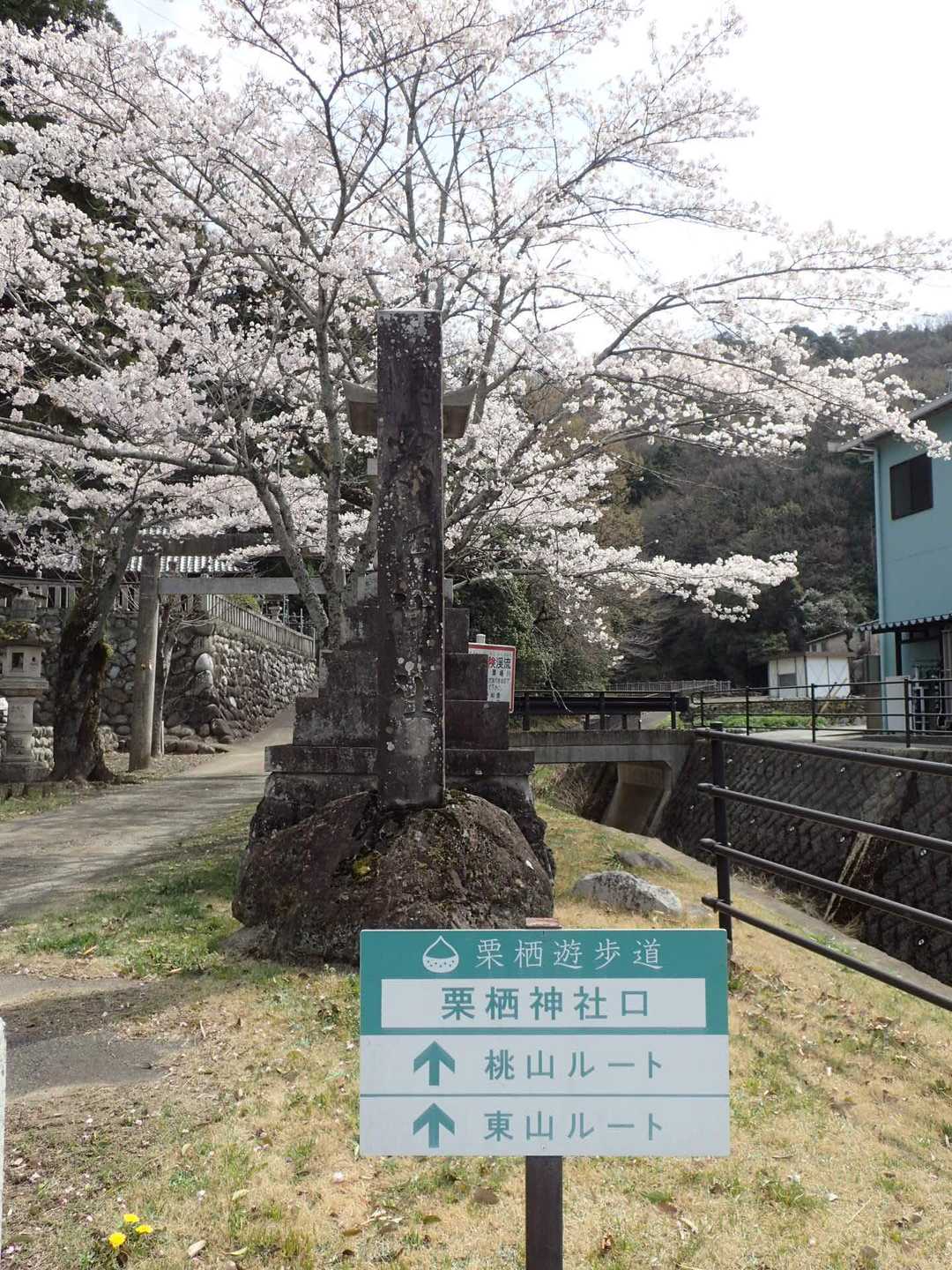 栗栖神社から桃山へ