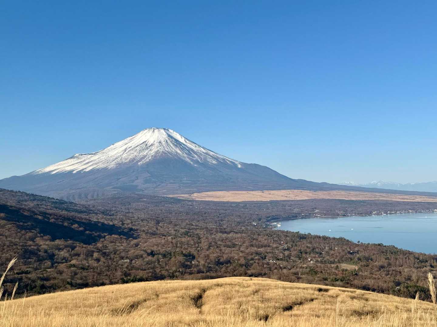 鉄砲木ノ頭-三国峠-三国山 周回コースの写真
