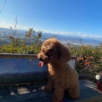 また、来ようね😍