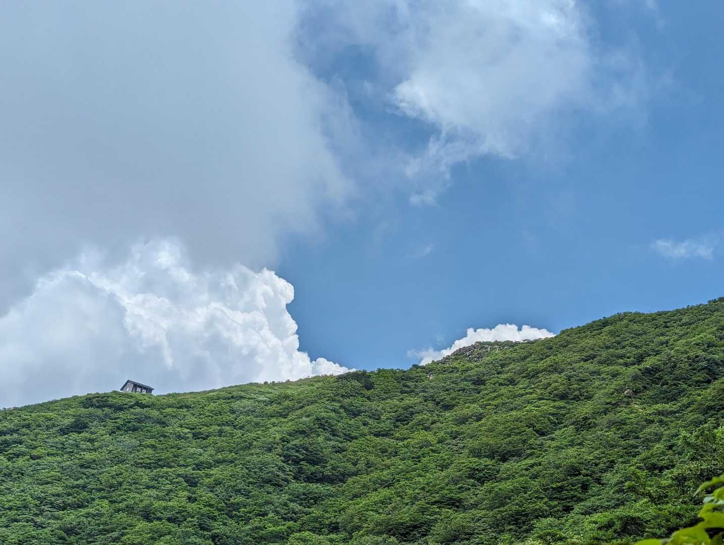 三鈷峰・象ヶ鼻往復 | 大山北壁を間近に望む、静かなユートピアの道の写真