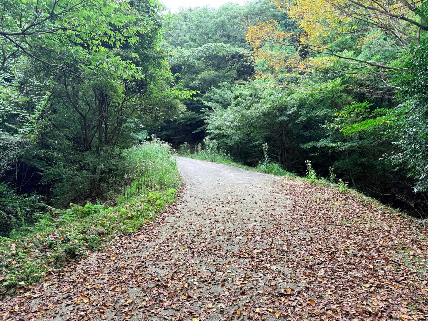 急げ〜

濡れる〜

温泉いこっ〜

その後は昼飯や〜

ワクワク♪
