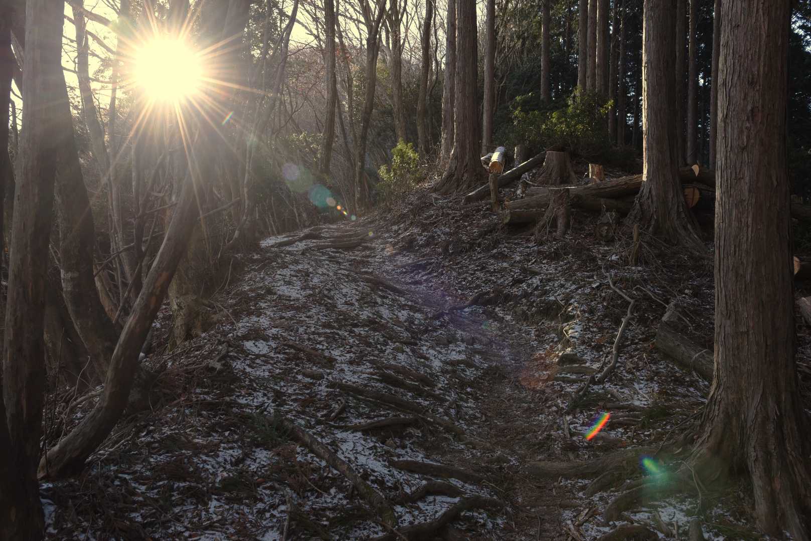 山道はシュガーパウダーを薄くふりかけた感じ
