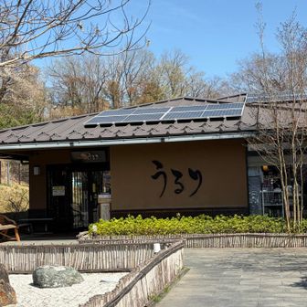 ここです♨️うるり♨️