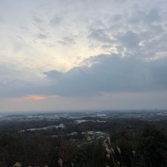 下山中にブラックアウト
そして猪と遭遇　

まっ想定内だけど最後の登山がこんなだとはな