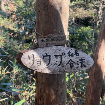 山頂標より大きい…木の名前…かな？