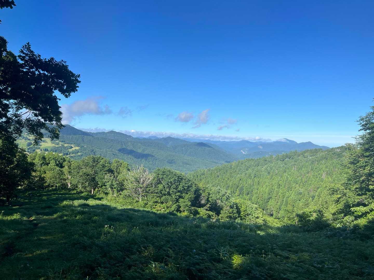 ゲレンデを登ってる最中にパチリ
右に荒島岳、左に能郷白山