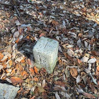 北山　三角点しか見当たらず…