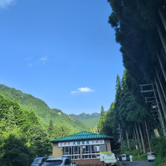 大橋茶屋さんまで戻ってきました、まだ茶屋も開いてる😆