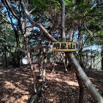 ルイサイファーさんちぃーっす