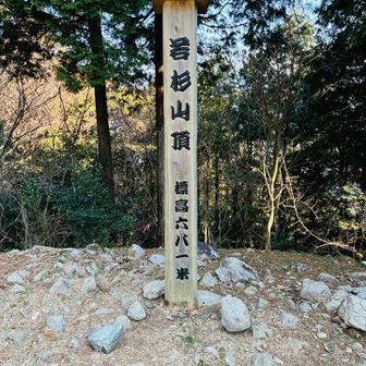 若杉山山頂