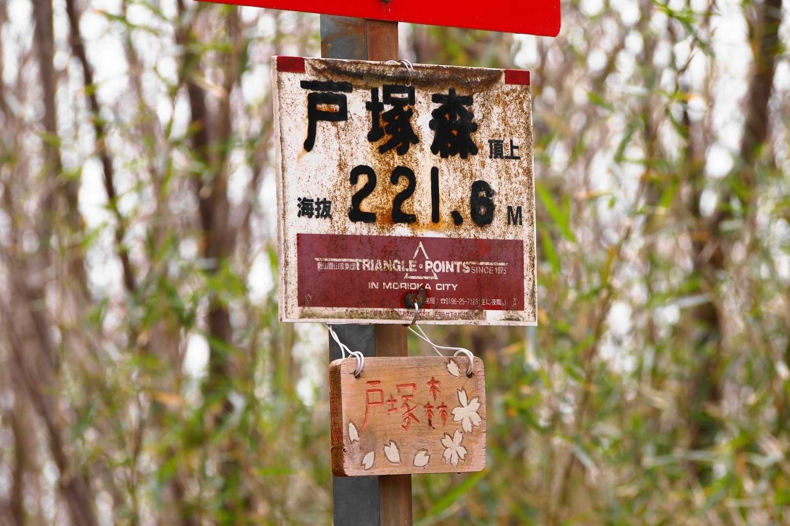 呑気なおじーちゃんさんが上まであげてくれました☺️ありがとうございます❤