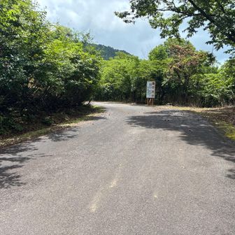 朝車で通った舗装路を戻ります