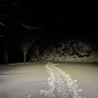 桜坂駐車場🅿️