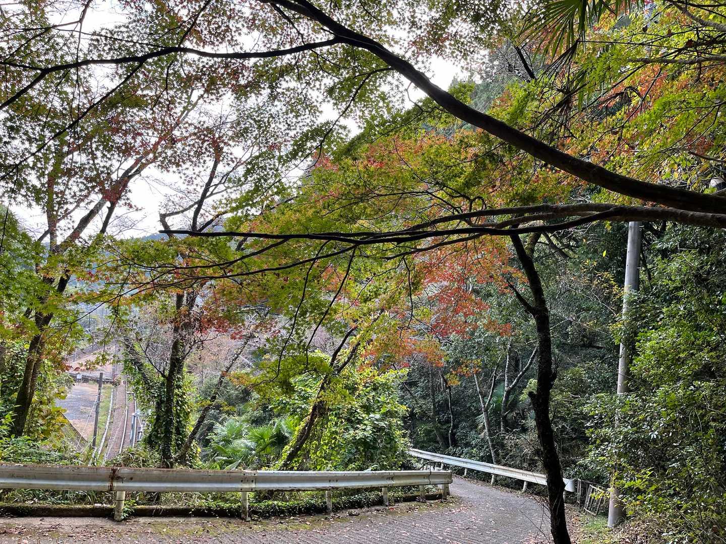 紅葉には早いけど🍁少しの色付きも嬉しいです
ゴールの紀見峠駅までもう少し