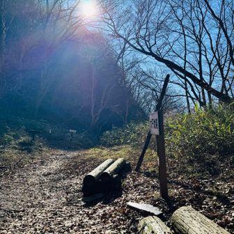 日がさしてて温かいなぁ。