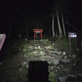 林道1時間歩いてやっと登山道