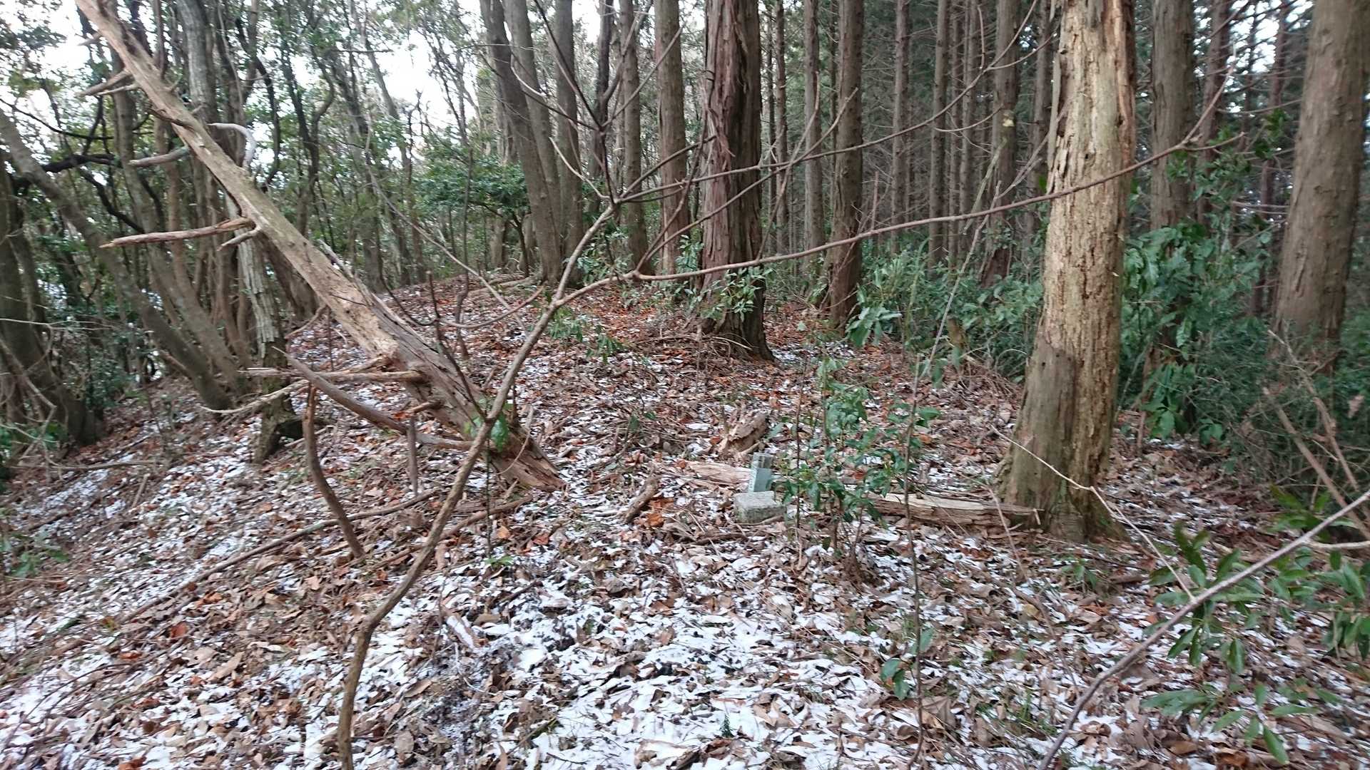 頂上