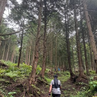 ここから山道
