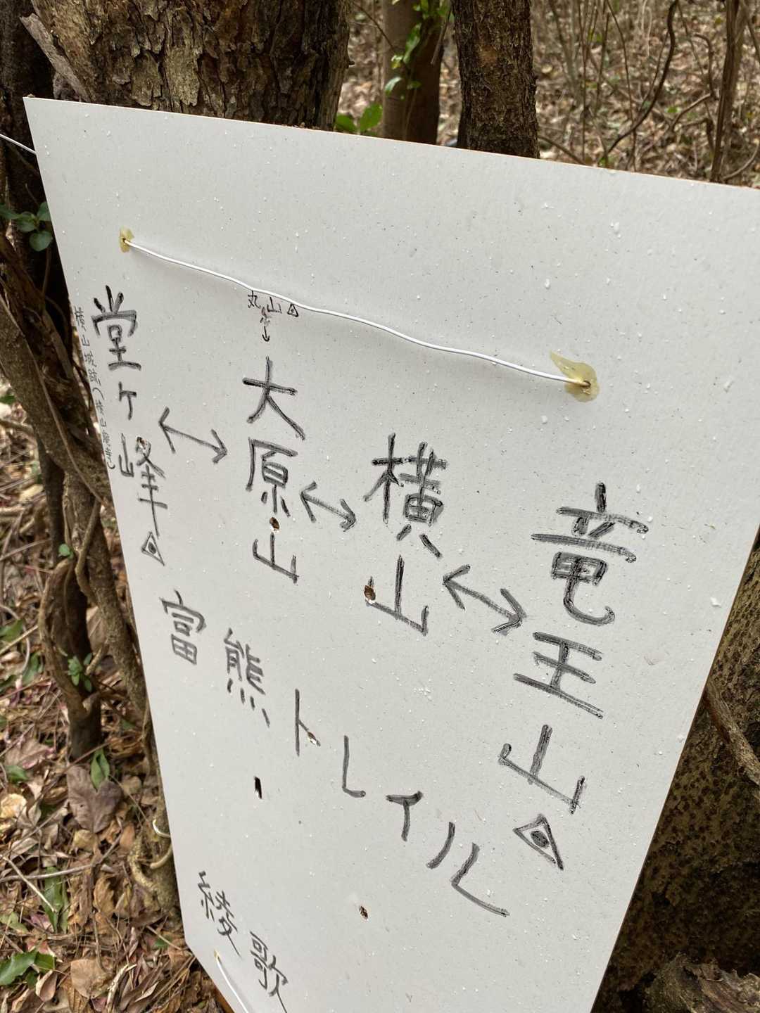 ここでおじさまに先程の道と丸山⛰️の事をお聞きする😊🙏