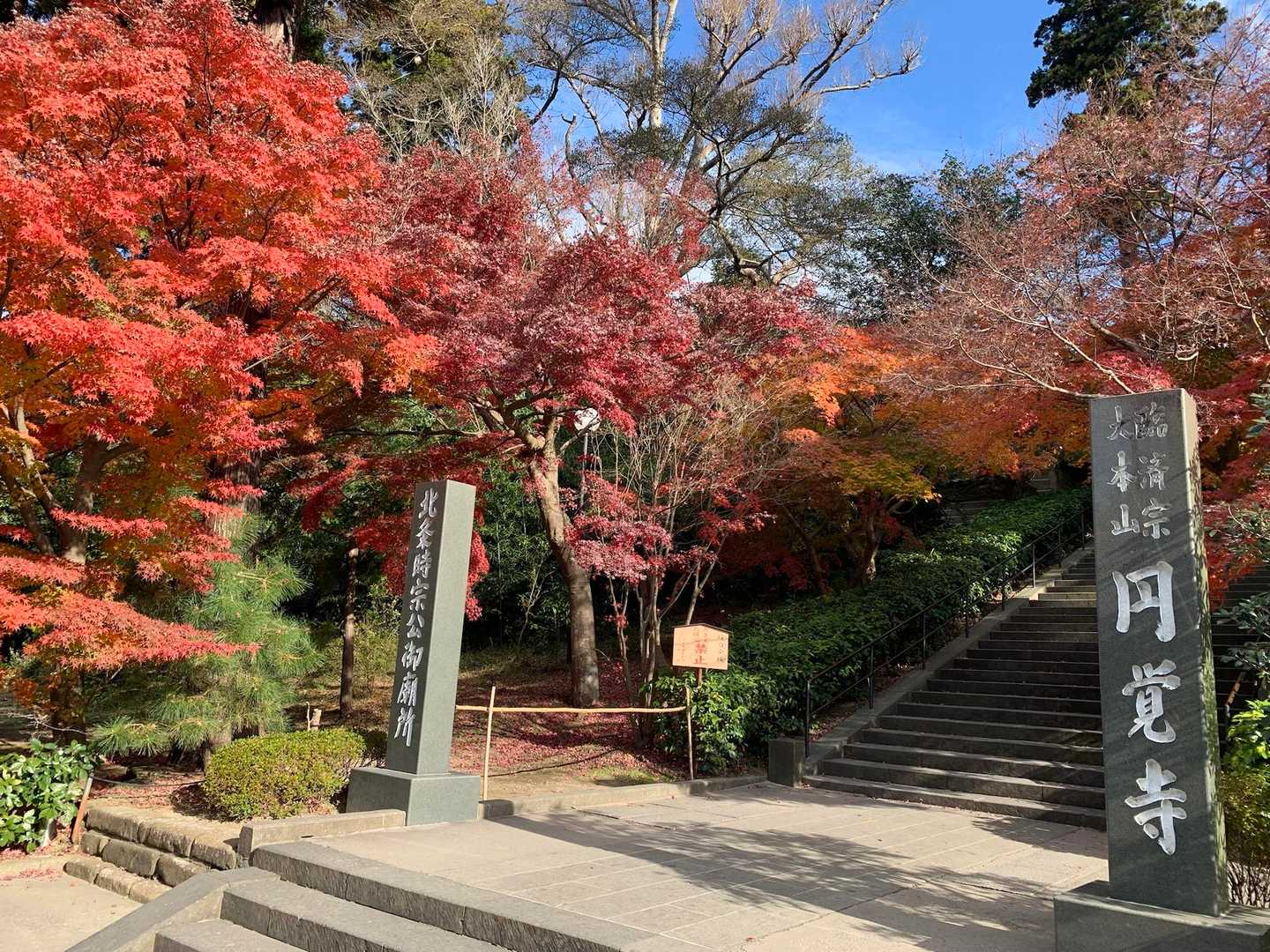 出てすぐの所に円覚寺が紅葉もすごい🍁
みなさん立ち止まって📷