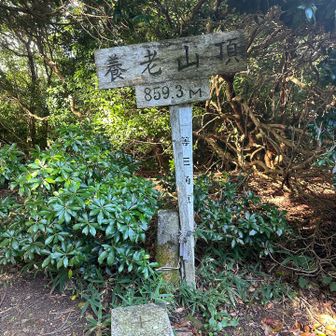 養老山
859ｍ