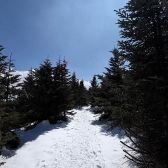 どの道も雪がいい感じ