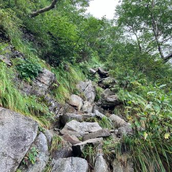 濡れてたので本間に滑りました。
下山時は乾いてたので助かりました。
