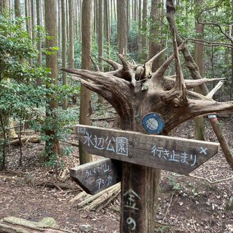 アバンギャルドな指示版です💥