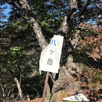 アンパンマン的な🪧