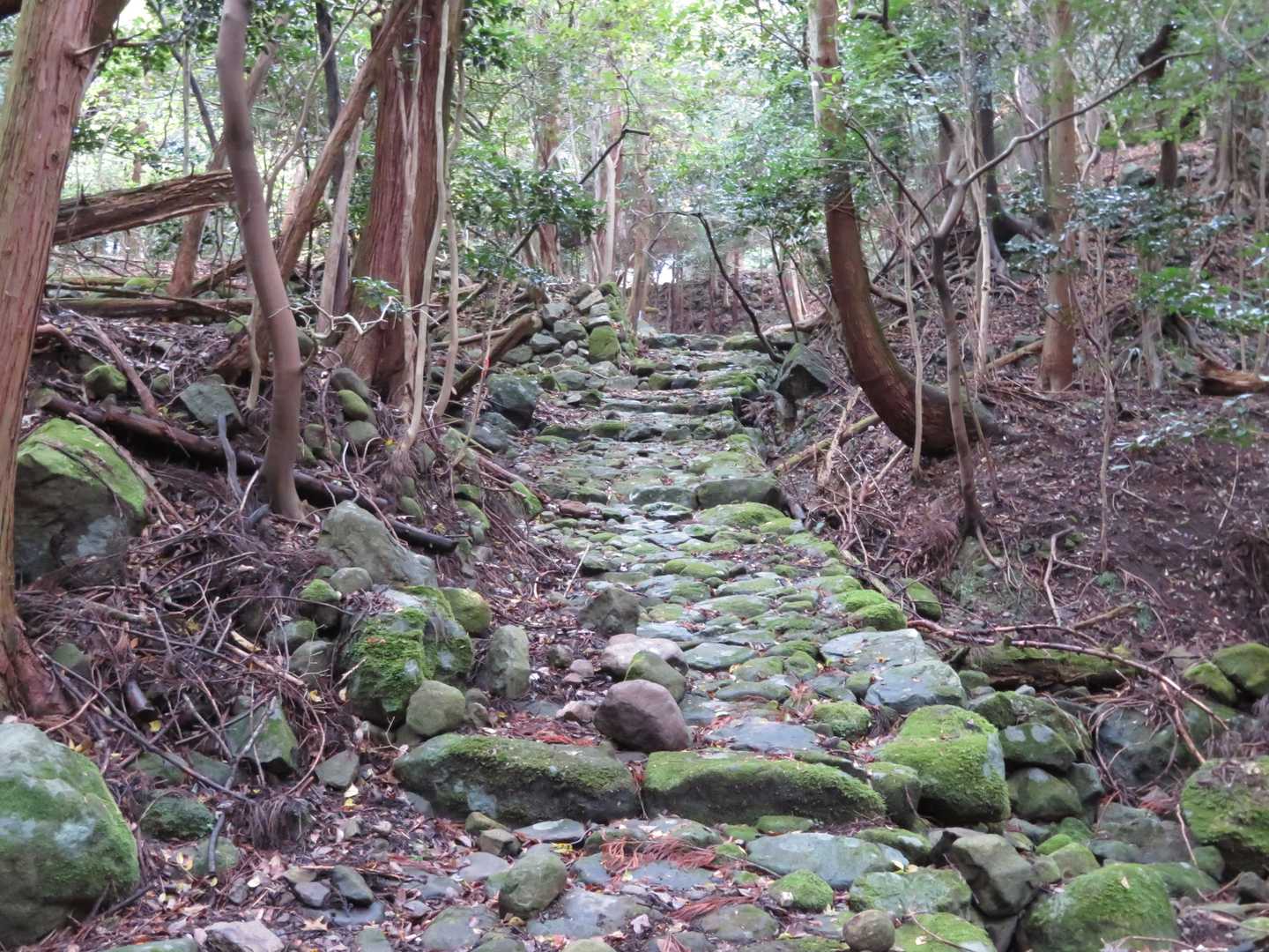 途中から石畳になっています。