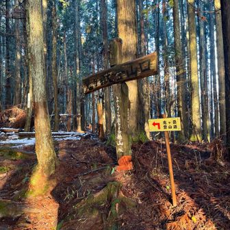 今年最後の鬼ちゃん👹
どうぞよろしくお願いします！