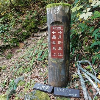 分岐に
ここから燕温泉♨️まであと50分ほど
最後の小休止
