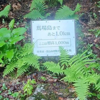 のっけから急登💦恐るべし