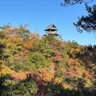 美濃勝山城がみえてきたぞー
もっと遠くからみたときは白にみえたが
なんと風通しがよい城なんだ（笑）