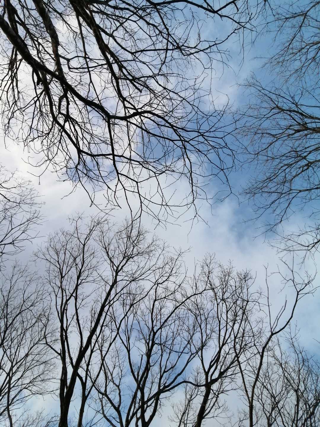 いい気分🎶