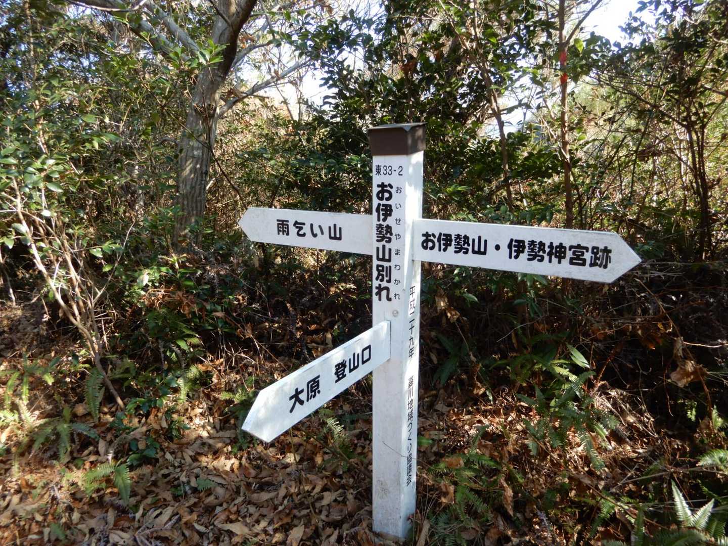 御伊勢山分かれ　かつては伐採されてこの辺りは明るかった