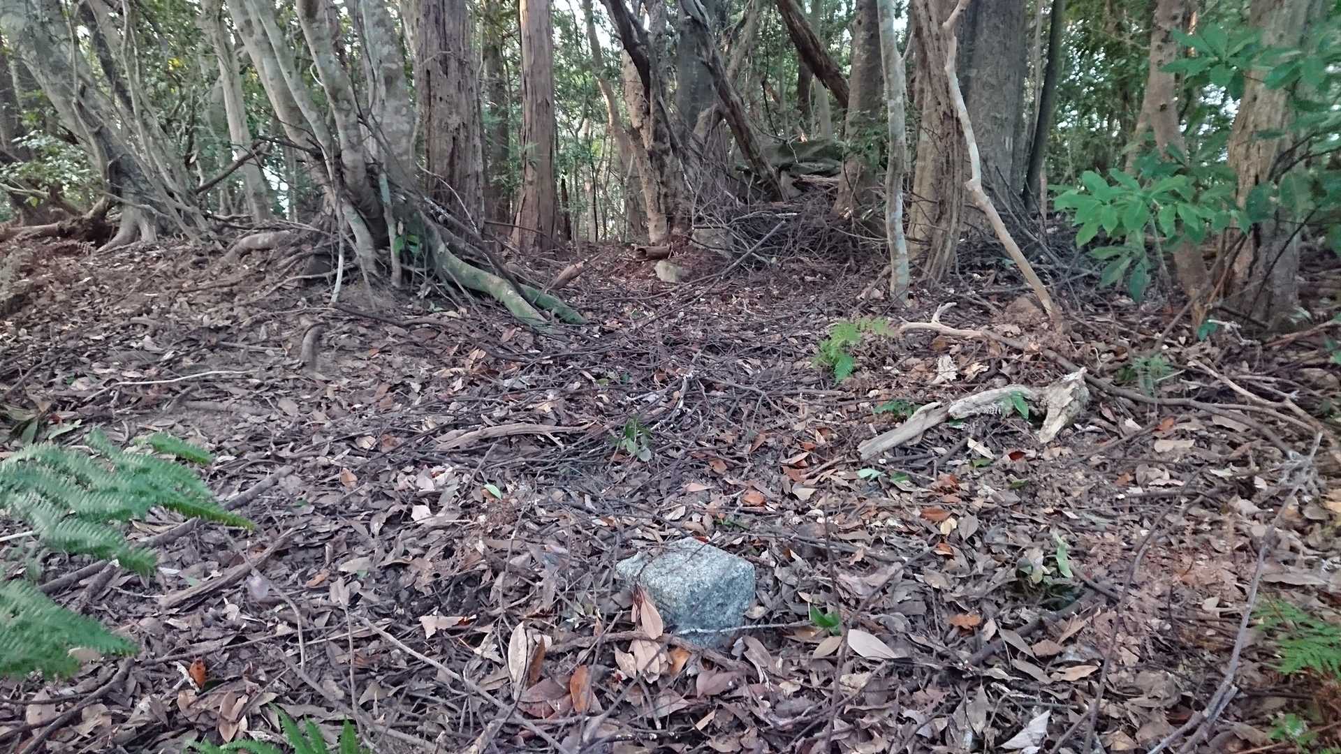 祠と三角点の位置関係