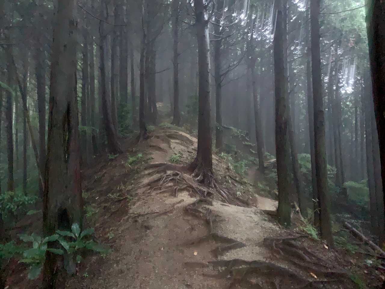 金剛山山頂売店-金剛山 周回コースの写真
