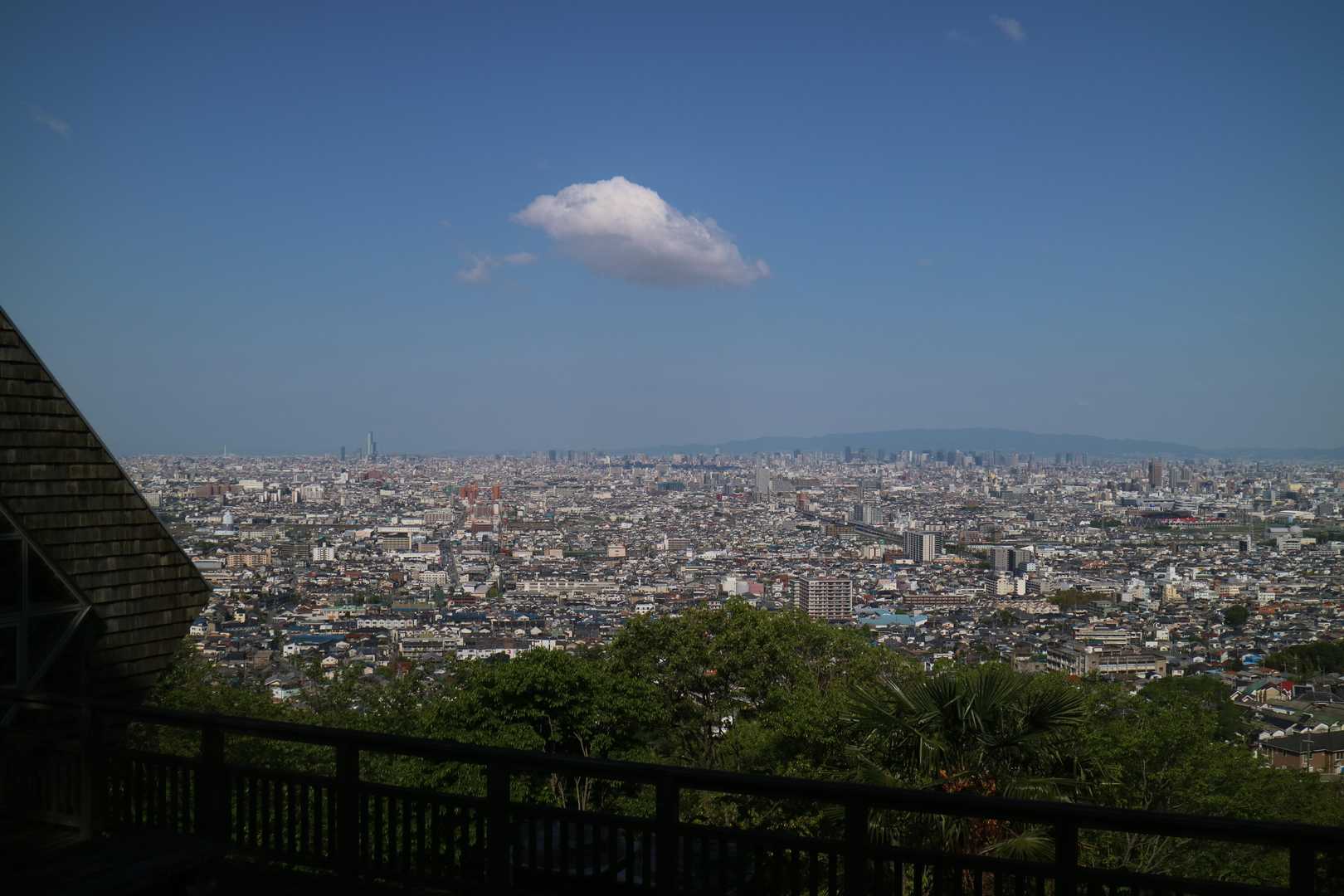 神津嶽ふれあい広場-客坊大橋登山口 周回コースの写真